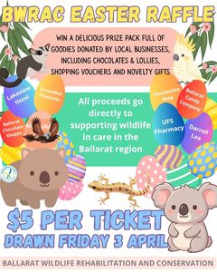 2026 Easter Raffle