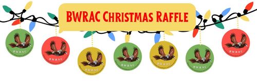 Christmas Raffle Image Christmas Raffle Image