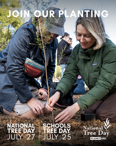 National Tree Day 2025