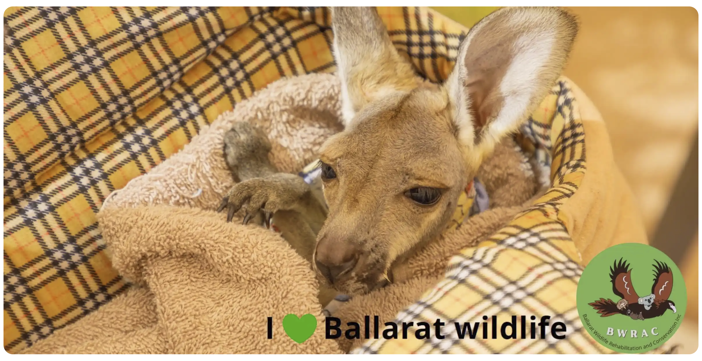 Pouch making for Ballarat wildlife