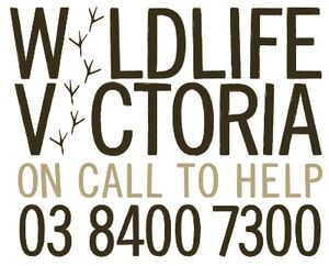 Ballarat Wildlife Rehabilitation + Conservation