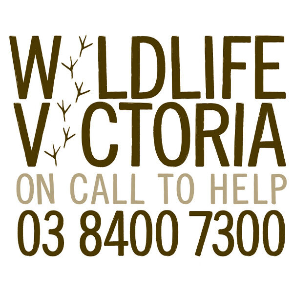 Ballarat Wildlife Rehabilitation + Conservation