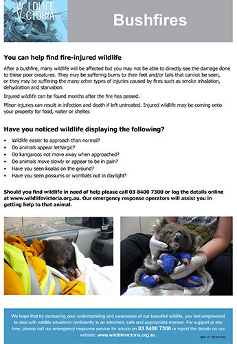 Download - Bushfires