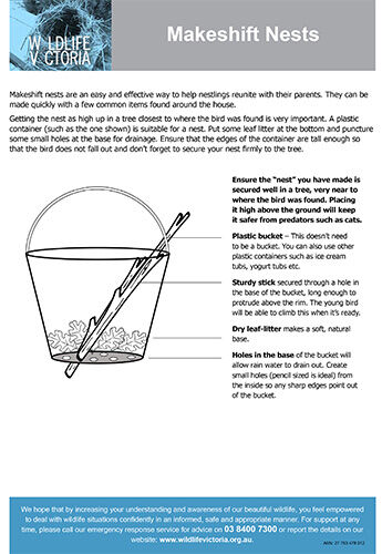 Download - Makeshift Nests