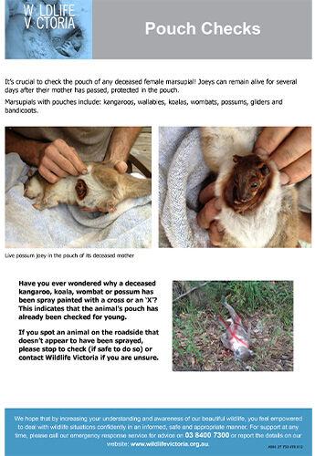 Download - Pouch Checks