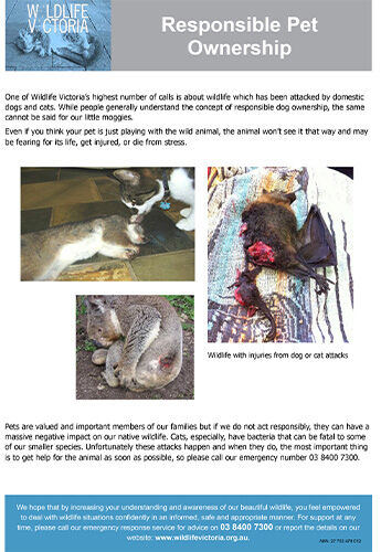 Download - Responsible Pet Ownership