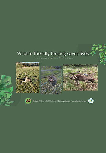 Download - Wildlife friendly fencing