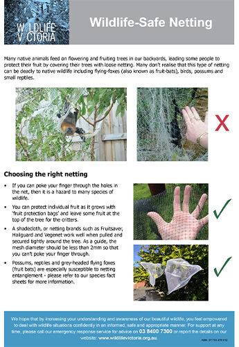 Download - Wildlife-Safe Netting