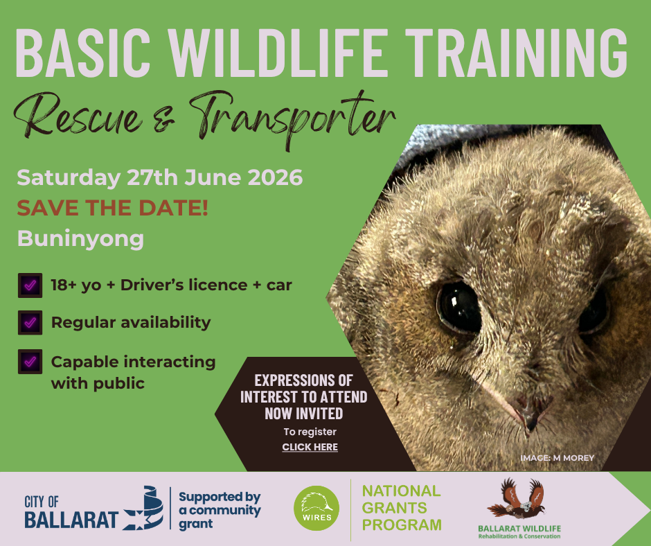 June 2026 Basic Wildlife Rescue + Transport Traini June 2026 Basic Wildlife Rescue + Transport Training