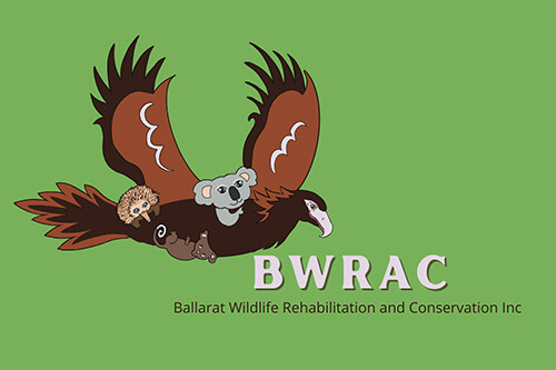 Ballarat Wildlife Rehabilitation & Conservation Inc logo